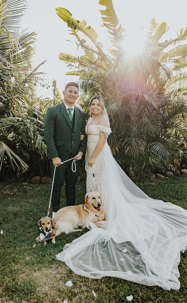 bride and groom with two dogs