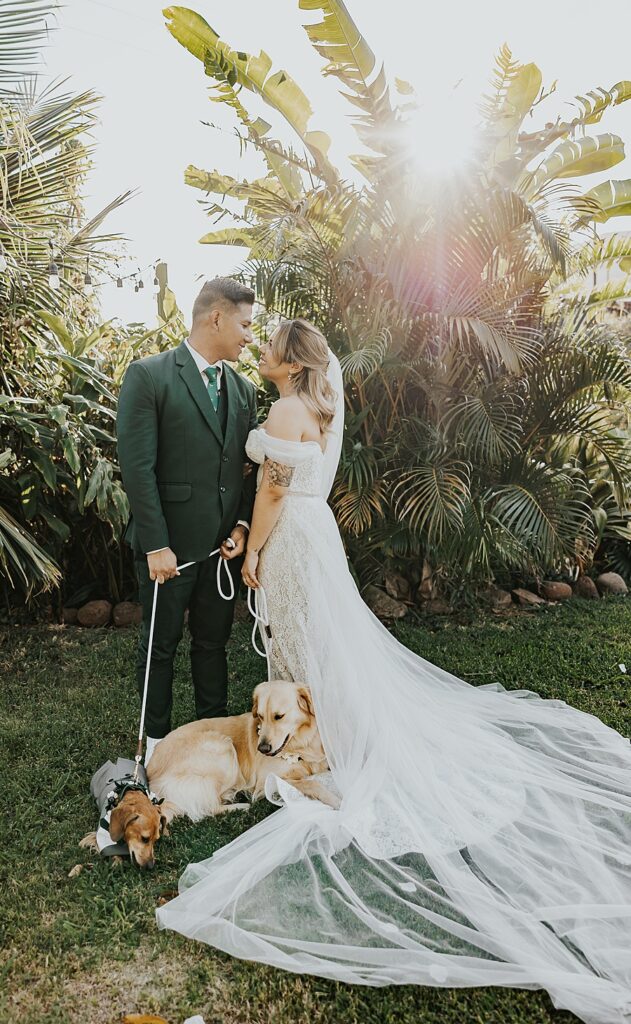 bride and groom holding dogs leash