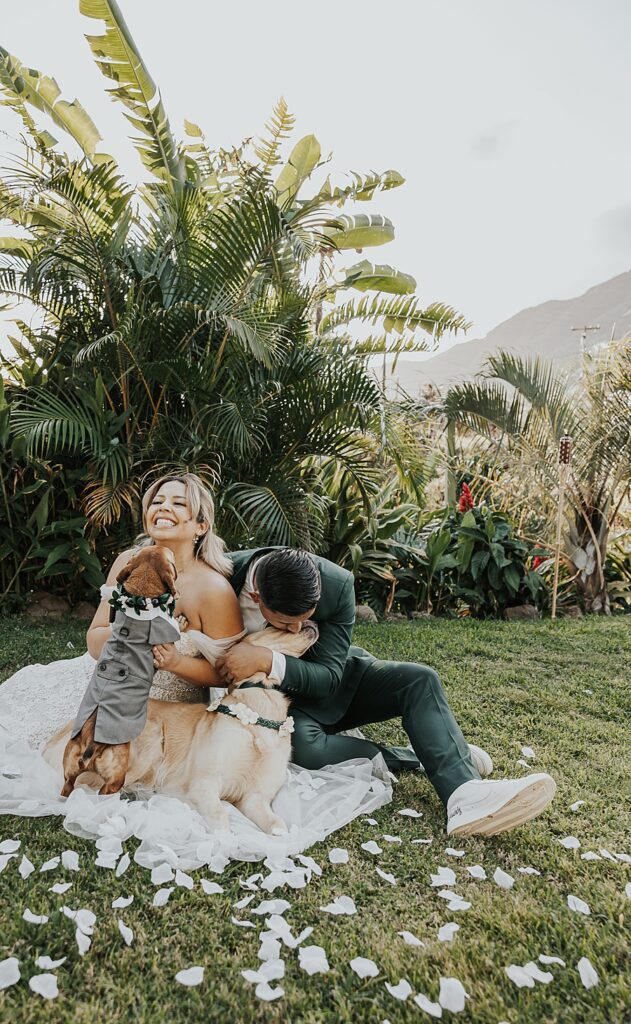 Bride and groom with golden retriever and dachshund