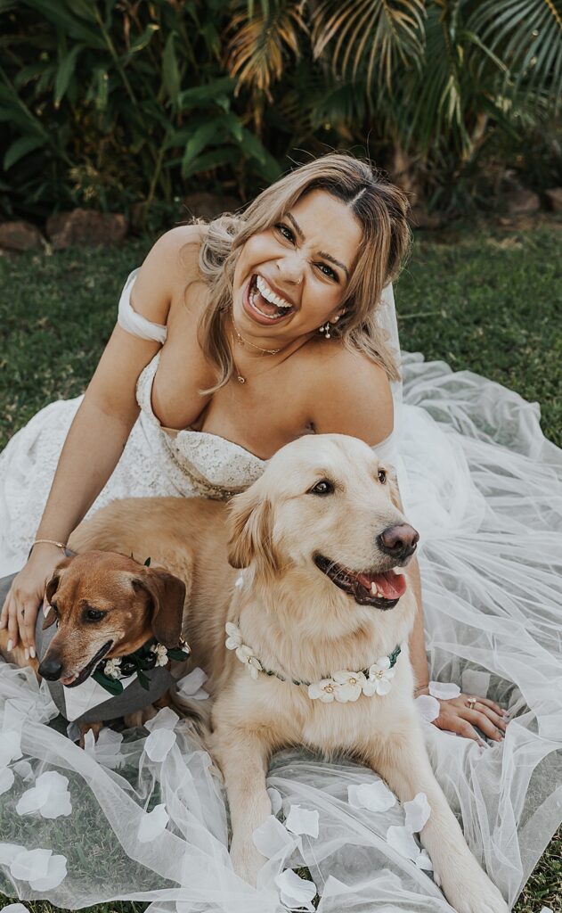 Bride with her two dogs