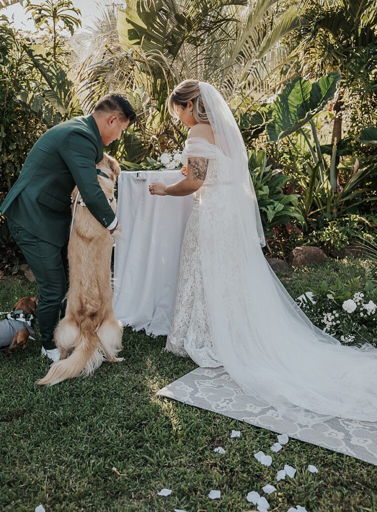 Dogs signing marriage license 