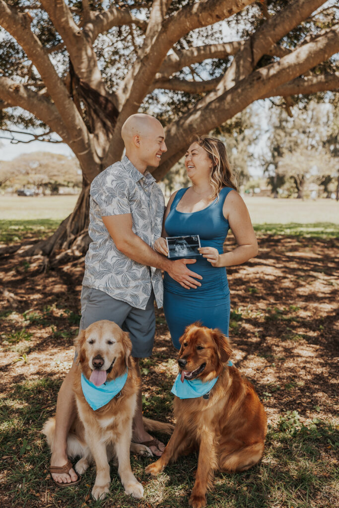 couple holding ultrasound picture with their two dogs