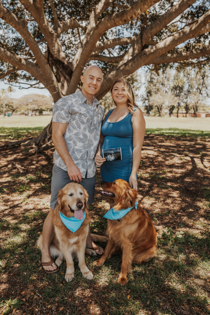 couple holding ultrasound picture with their two dogs